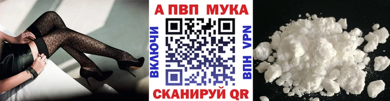 Альфа ПВП СК  Кондопога 