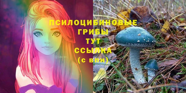 мескалин Богородицк