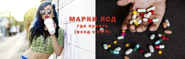 прущие грибы Сясьстрой