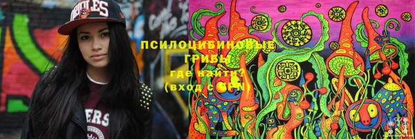 бошки Богданович