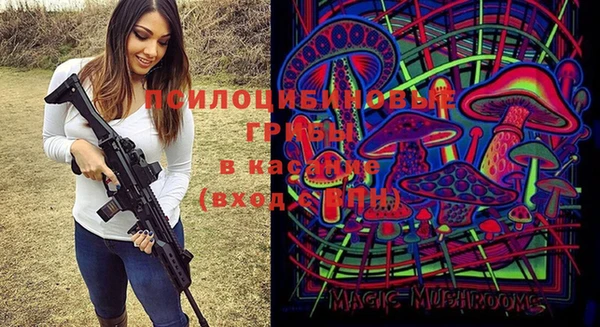 бошки Богданович