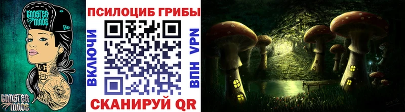 Псилоцибиновые грибы мухоморы  где можно купить наркотик  Кондопога 